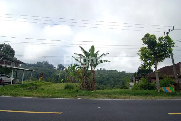 DIJUAL TANAH DI JALAN INDUK UTAMA DENPASAR SINGARAJA
