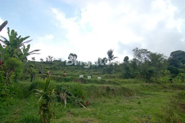 image DIJUAL TANAH DI JALAN INDUK UTAMA DENPASAR SINGARAJA (2)