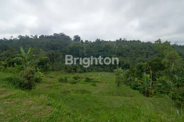 image DIJUAL TANAH DI JALAN INDUK UTAMA DENPASAR SINGARAJA (5)