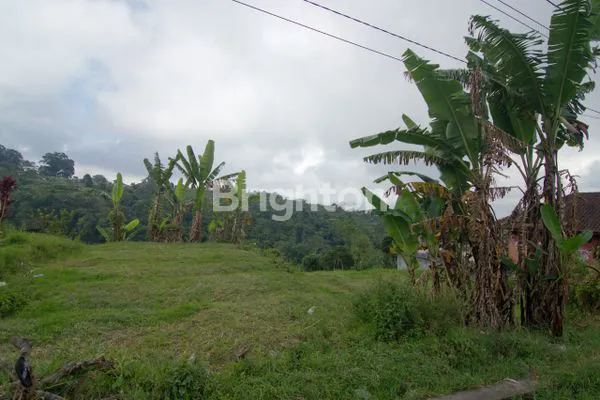 image DIJUAL TANAH DI JALAN INDUK UTAMA DENPASAR SINGARAJA (6)