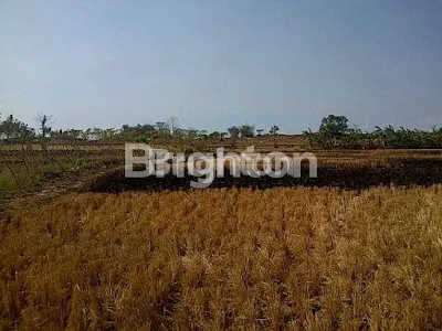 Gambar Property TANAH DEPAN KOTA BARU GRESIK