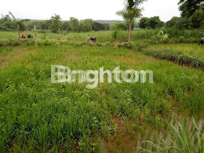 TANAH GRESIK BISA UNTUK GUDANG/PABRIK/KAVLING