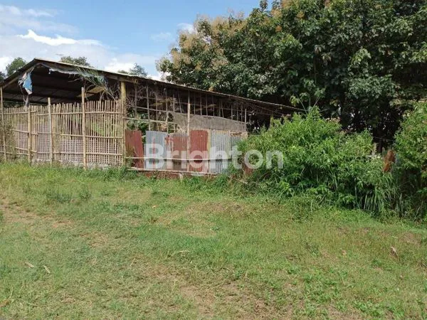 image LAHAN UNTUK USAHA SIAP PAKAI DEKAT BATU ATAU KOTA MALANG (3)