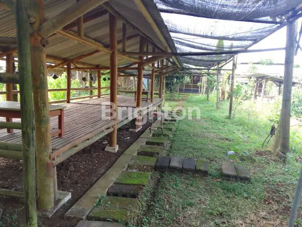 image LAHAN EX CAFE & MINI ZOO - BU CEPAT DESA KUCUR, DAU, MALANG (7)