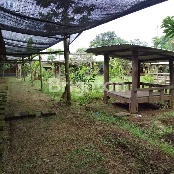 image LAHAN EX CAFE & MINI ZOO - BU CEPAT DESA KUCUR, DAU, MALANG (5)