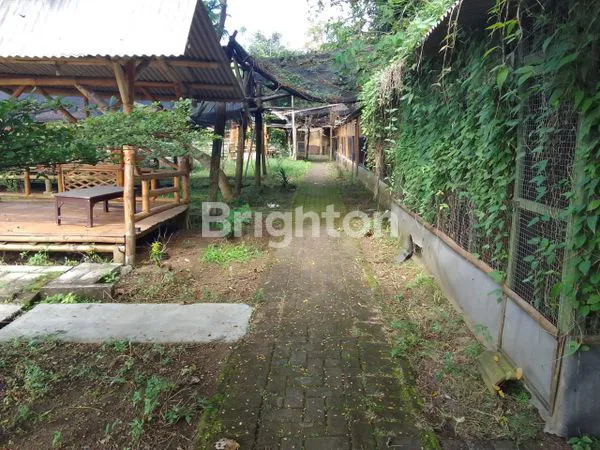 image TANAH COCOK UNTUK INVESTASI  (5)