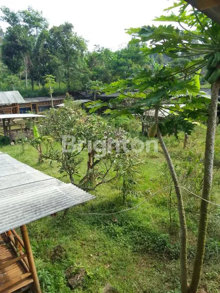 image TANAH COCOK UNTUK INVESTASI  (6)