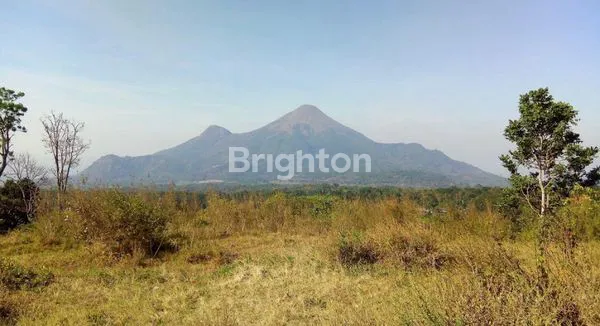 image KAVLING DI TRAWAS PACET, NOL JALAN, UDARA SEGAR, VIEW GUNUNG, COCO UTK VILLA (1)