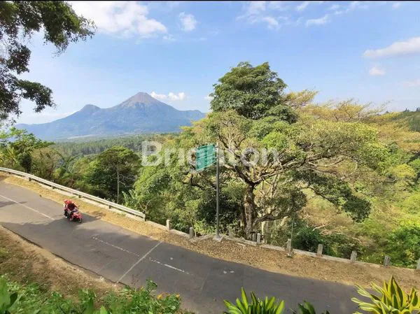 image KAVLING DI TRAWAS PACET, NOL JALAN, UDARA SEGAR, VIEW GUNUNG, COCO UTK VILLA (2)
