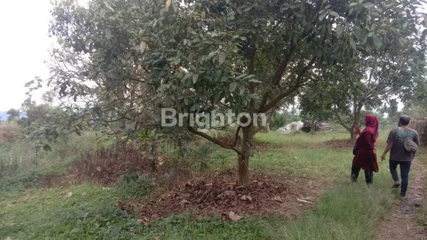 image TANAH SIAP BANGUN BANDUNGAN STRATEGIS (5)