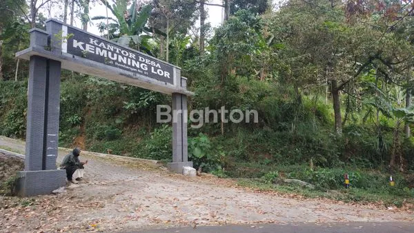 LAHAN COCOK UNTUK VILLA  TENGAH KOTA