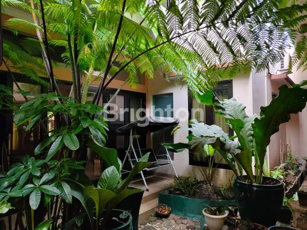 image RUMAH ASRI DI TENGAH KOTA (7)