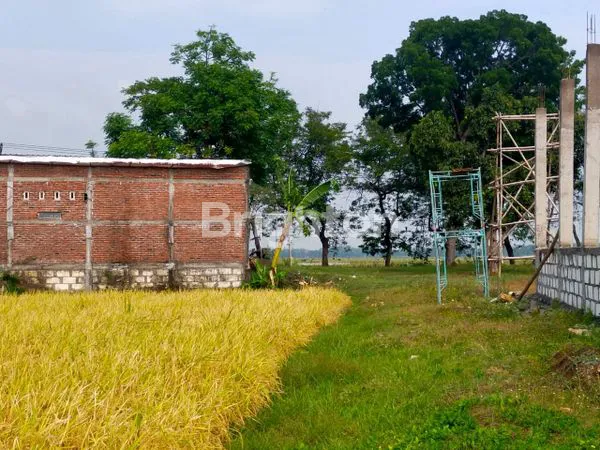 image TANAH SUBUR MAKMUR (2)