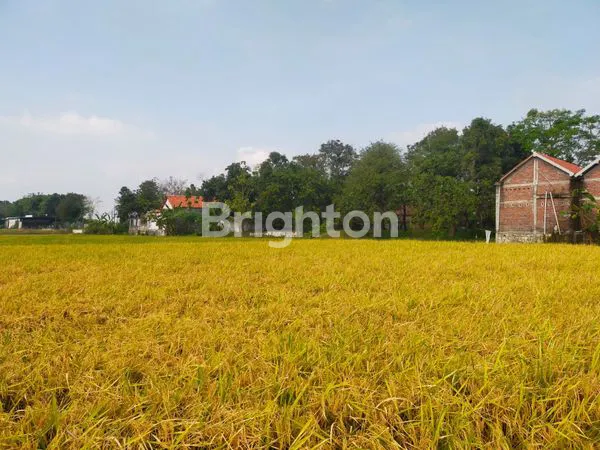 image TANAH SUBUR MAKMUR (3)