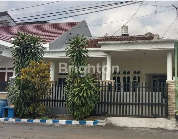 image RUMAH SIAP HUNI DIENG (1)