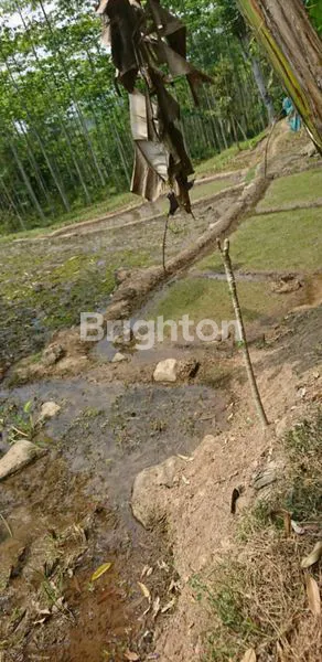 image TANAH PINGGIR JALAN CARIU JONGGOL (6)