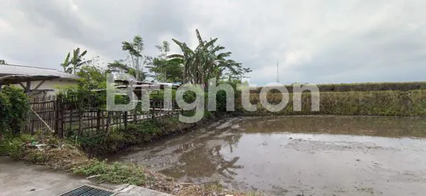 Gambar Property TANAH  KEMBANG KERTAS SOEHAT