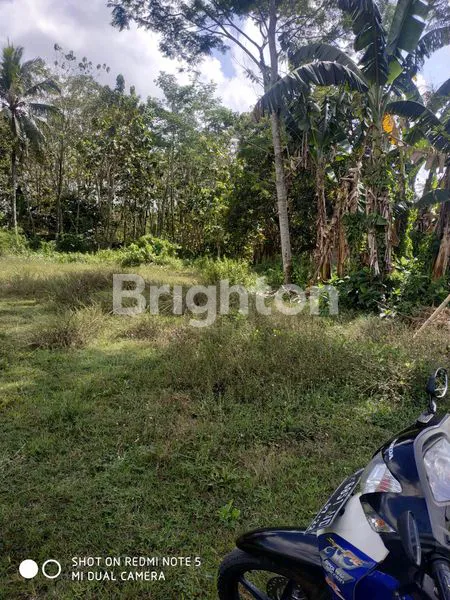 image BANGUNAN TENGAH KOTA  (8)