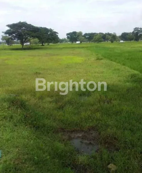 TANAH SIAP BANGUN NOL RAYA KENJERAN