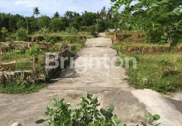 image TANAH VIEW VIRGIN BEACH KARANGASEM (2)