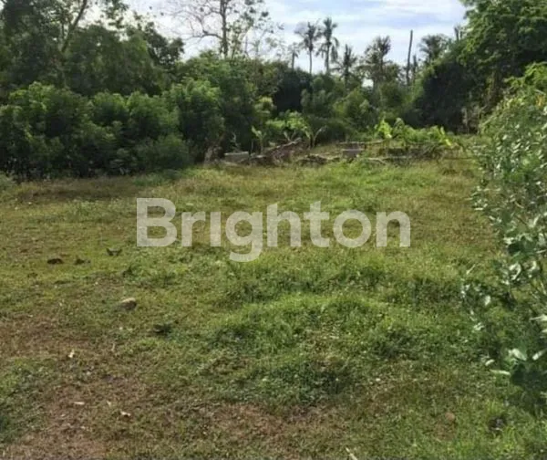 image TANAH VIEW VIRGIN BEACH KARANGASEM (1)