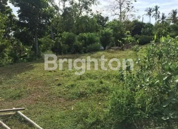 image TANAH VIEW VIRGIN BEACH KARANGASEM (3)