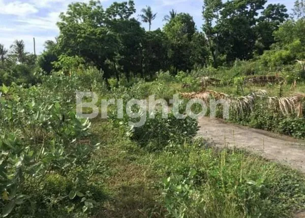 image TANAH VIEW VIRGIN BEACH KARANGASEM (4)