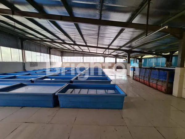 image PABRIK GUDANG COLD STORAGE ROOM SIAP PAKAI PADALARANG CIKAMUNING KABUPATEN BANDUNG BARAT (4)