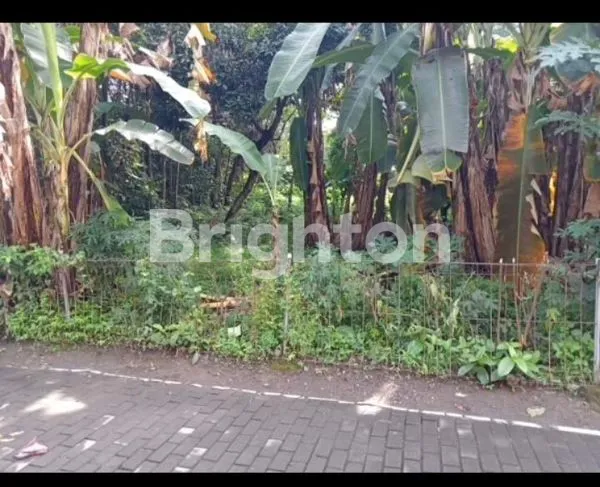 image AREA KAMPUS STIE YPKN, ATMAJAYA, SANATA DHARMA, UGM, HARTONO MALL, AMBARUKMO PLAZA (1)