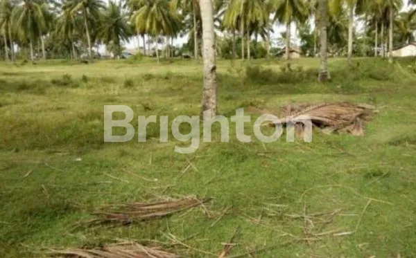 TANAH DI DEKAT PANTAI MADASARI