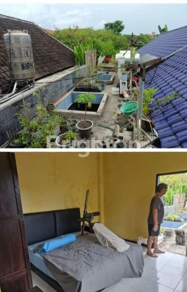 image RUMAH BONUS RUKO DAN GUESTHOUSE DEKAT PANTAI DOUBLE SIX DI KUTA (2)