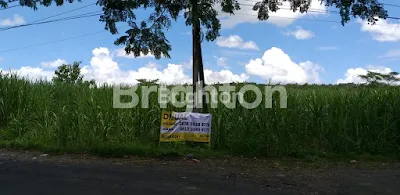 image TANAH 0 JALAN RAYA KARANGKATES SUMBERPUCUNG (4)