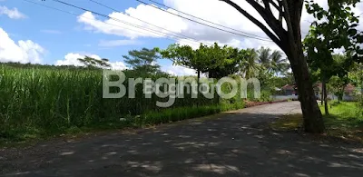 image TANAH 0 JALAN RAYA KARANGKATES SUMBERPUCUNG (3)