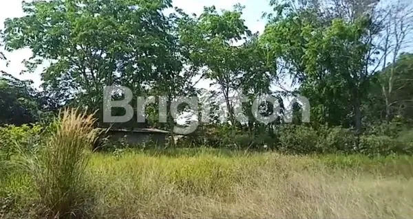 image LOKASI STRATEGIS (3)