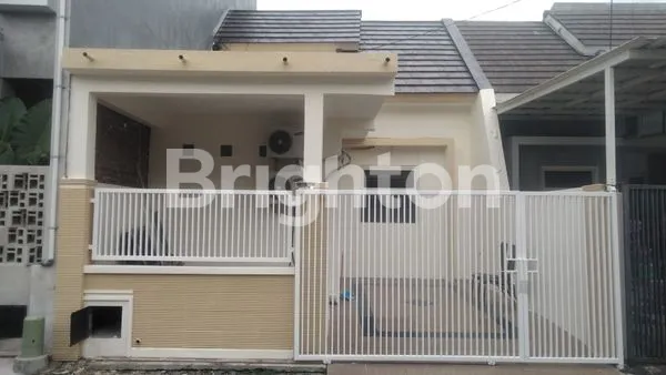 image PURIMAS MINIMALIS UNDER 1 M (1)