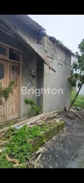 image JUAL RUMAH HITUNG TANAH (3)