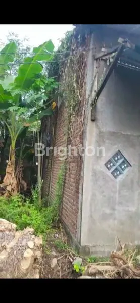 image JUAL RUMAH HITUNG TANAH (4)