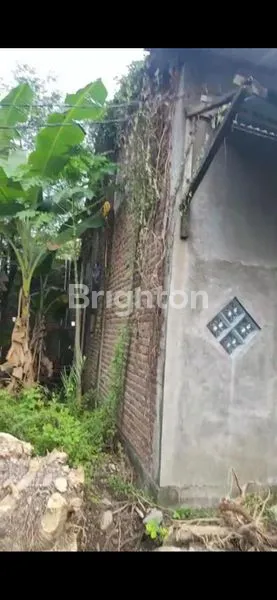 image JUAL RUMAH HITUNG TANAH (5)