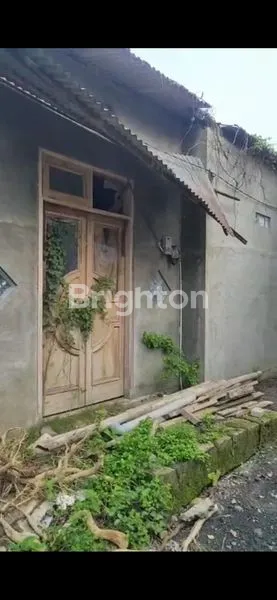 image JUAL RUMAH HITUNG TANAH (6)