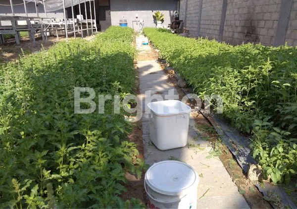 image GUDANG ISTIMEWA DI MOJOROTO KEDIRI (2)