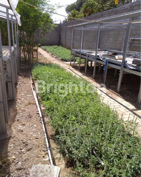 image GUDANG ISTIMEWA DI MOJOROTO KEDIRI (3)