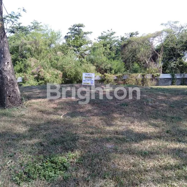 image DIAMOND HILL (1)