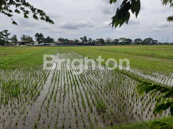 image TURUN HARGA! TANAH KERING & STRATEGIS DEPAN POM BENSIN & TOKO JUMBO - BAKI (2)