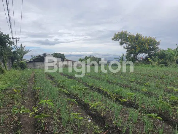 image INVESTASI TANAH PREMIUM DAGO ATAS 3890M² (2)