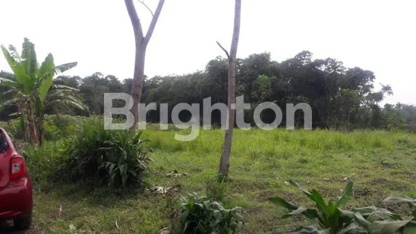 image TANAH CIHERANG, DERMAGA, BOGOR, SEBELAH PERUMAHAN PERSONA (3)