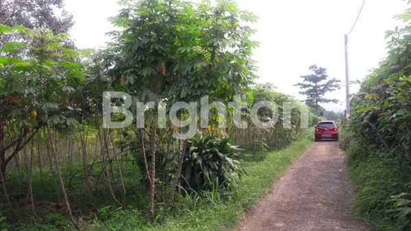 image TANAH CIHERANG, DERMAGA, BOGOR, SEBELAH PERUMAHAN PERSONA (8)