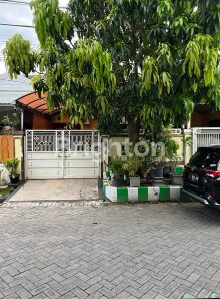 image RUMAH FULL FURNISH SIAP HUNI DI MEDAYU SELATAN SURABAYA (1)