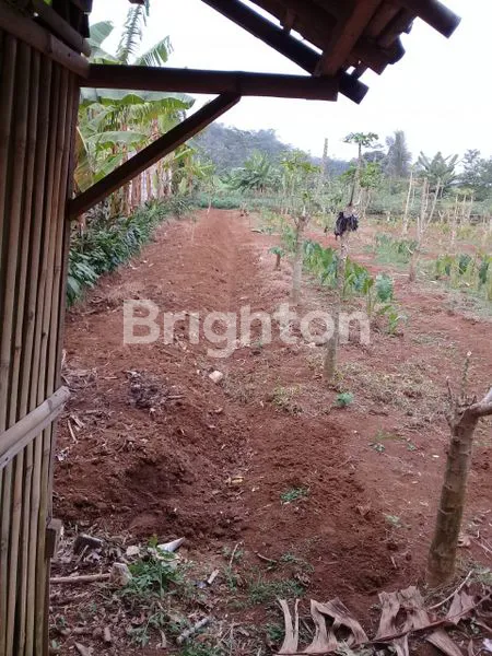 SEBIDANG TANAH - SITU GEDE - BOGOR BARAT