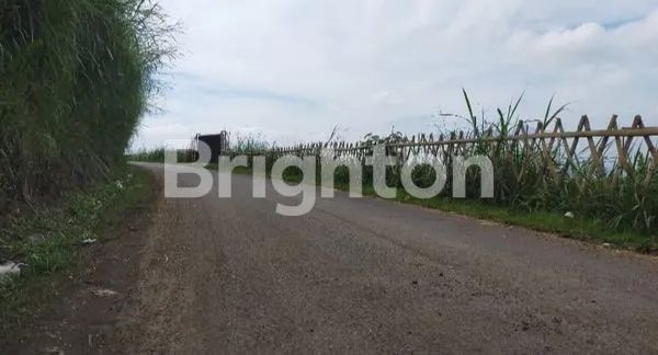 image TANAH DI BATU COCOK UNTUK VILA ATAU KEBUN JERUK DEPAN PWEC (3)