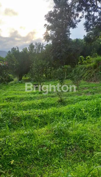 image TANAH DI BATU COCOK UNTUK VILA ATAU KEBUN JERUK DEPAN PWEC (5)